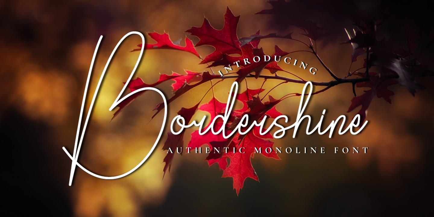 フォント Bordershine